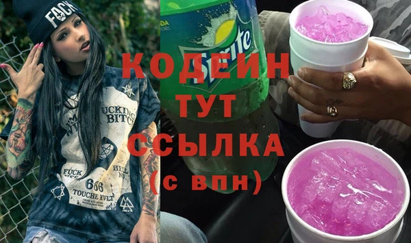 индика Гусев