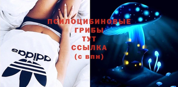 дмт Гусь-Хрустальный