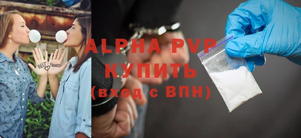 индика Гусев
