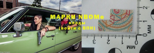 индика Гусев