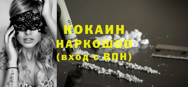 индика Гусев