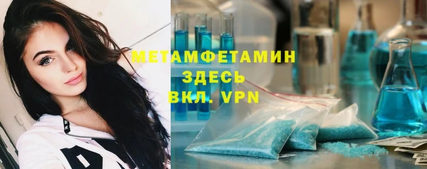индика Гусев