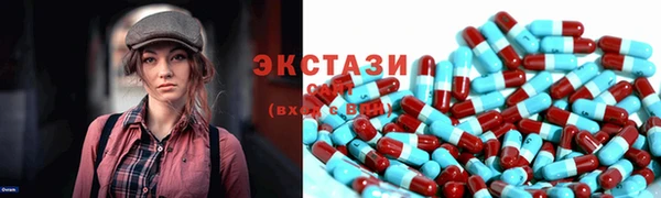 индика Гусев