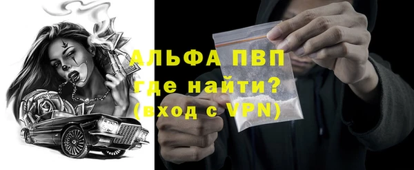 индика Гусев
