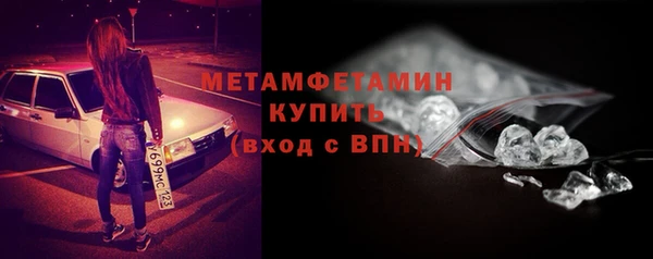 индика Гусев