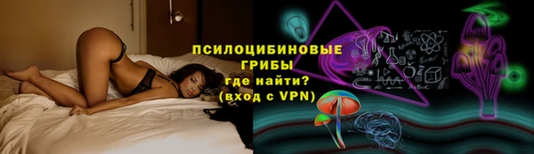 молекула духа Гусиноозёрск