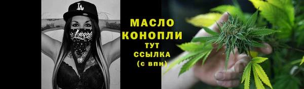 дмт Гусь-Хрустальный