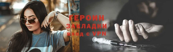 индика Гусев