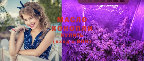 молекула духа Гусиноозёрск