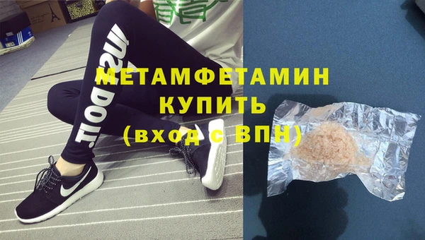 индика Гусев