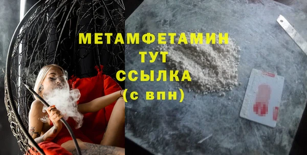 индика Гусев