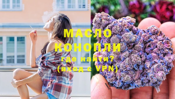 индика Гусев