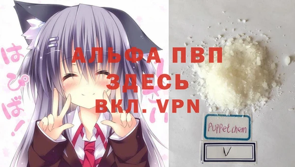 индика Гусев