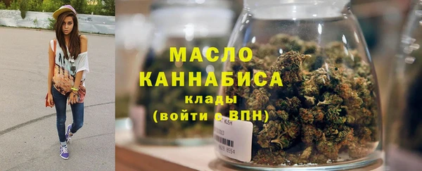 дмт Гусь-Хрустальный