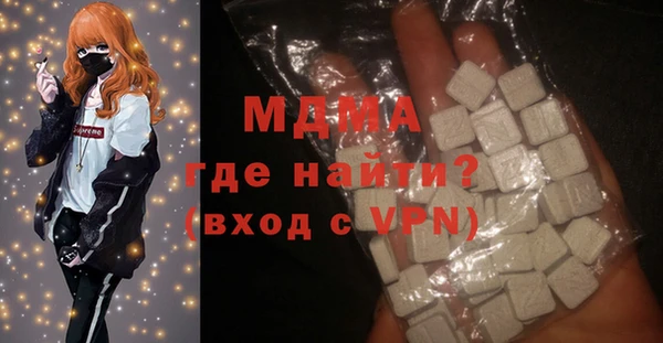 индика Гусев