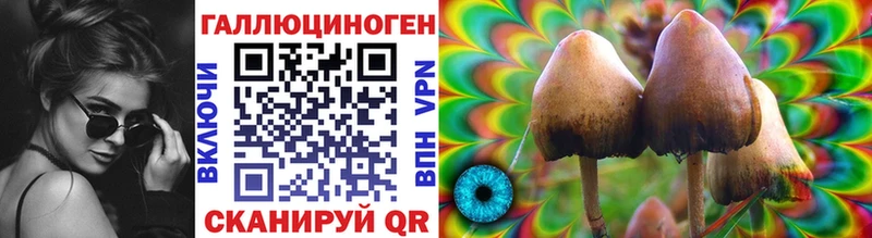 Галлюциногенные грибы мицелий  Купить где  Торопец 