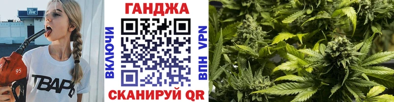 Купить закладки  Торопец  Шишки марихуана планчик 